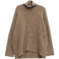 Wool Loose Turtleneck Sweater