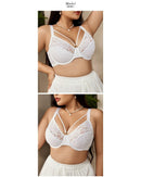 Plus-size lace thin full-cup bra