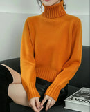 Wool Turtleneck Slim Knit Sweater