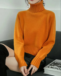 Wool Turtleneck Slim Knit Sweater