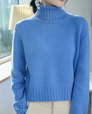 Wool Turtleneck Slim Knit Sweater