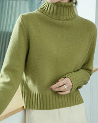 Wool Turtleneck Slim Knit Sweater