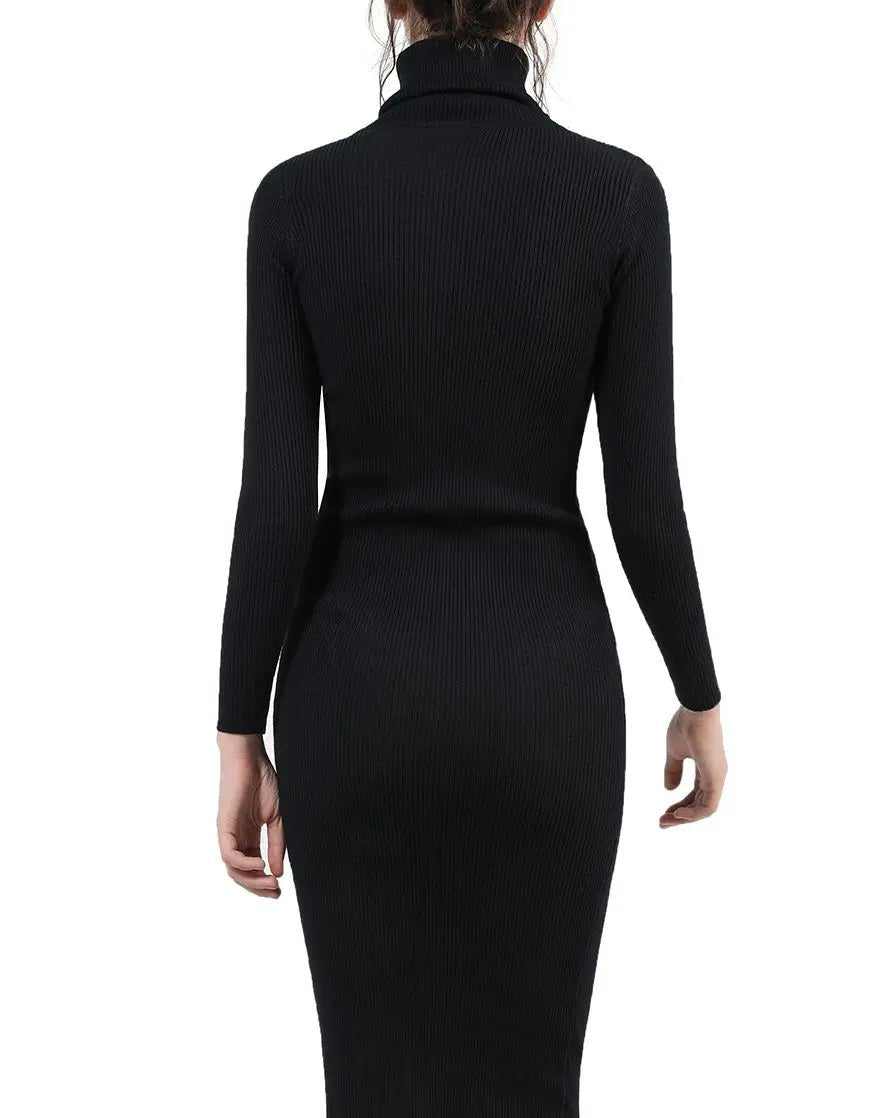 Turtleneck Long Sleeve Bodycon Midi Dress
