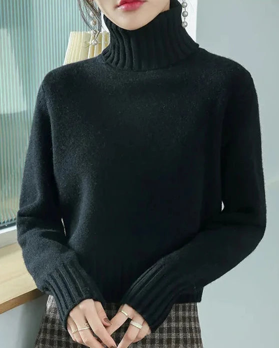 Wool Turtleneck Slim Knit Sweater
