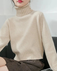 Wool Turtleneck Slim Knit Sweater