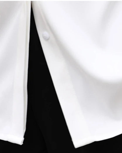Straight Cut Office Blouse Long Sleeve