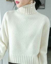Wool Turtleneck Slim Knit Sweater