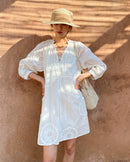 Pure Cotton Embroidered V-Neck A-Line Dress
