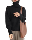 Basic Pullover Style Turtleneck Sweater