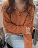 Wool Cardigan Polo Collar Sweater