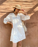 Pure Cotton Embroidered V-Neck A-Line Dress