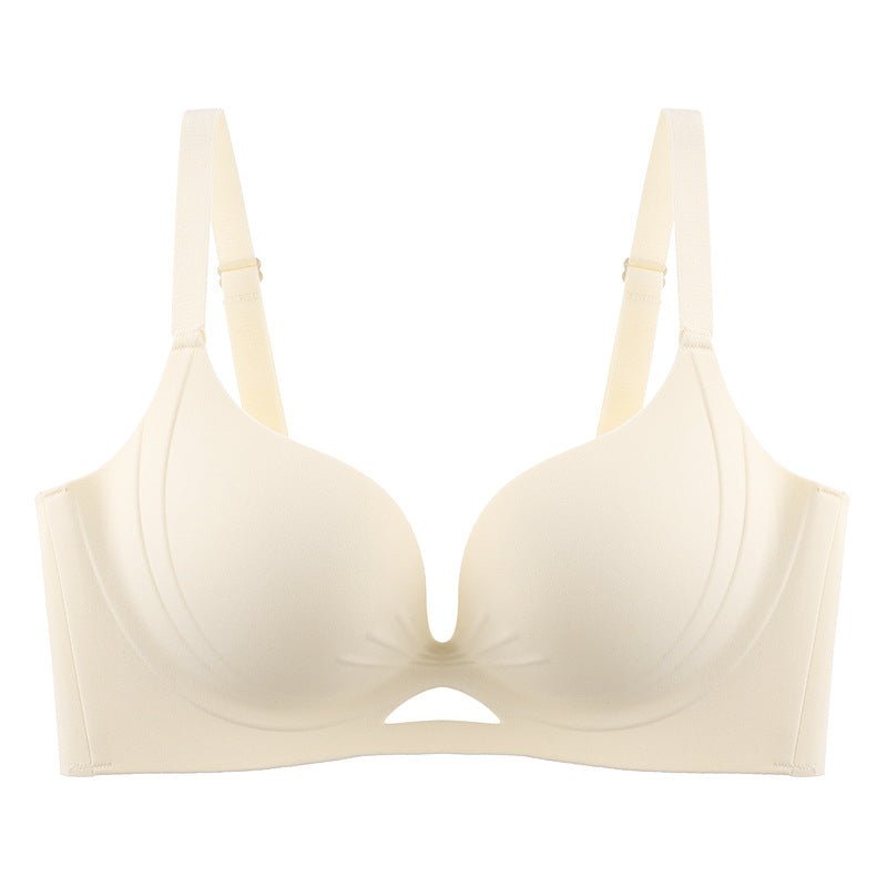 Champagne / S [Recommended 80-50kg]