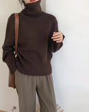 Basic Pullover Style Turtleneck Sweater