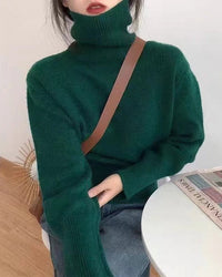 Basic Pullover Style Turtleneck Sweater