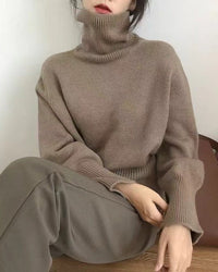 Basic Pullover Style Turtleneck Sweater
