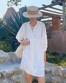 Pure Cotton Embroidered V-Neck A-Line Dress