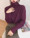 Basic Pullover Style Turtleneck Sweater