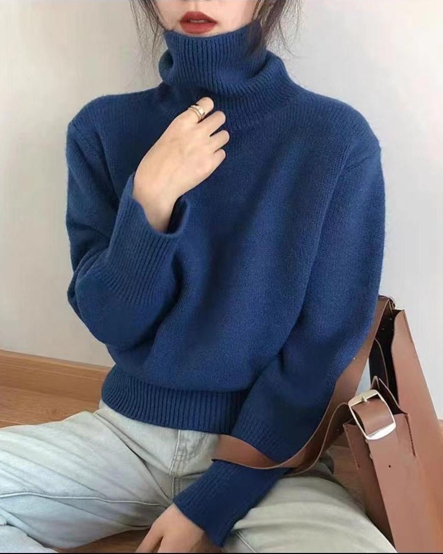 Basic Pullover Style Turtleneck Sweater