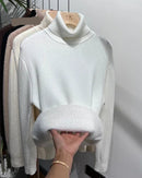 Thick Velvet-Lined Turtleneck Pullover