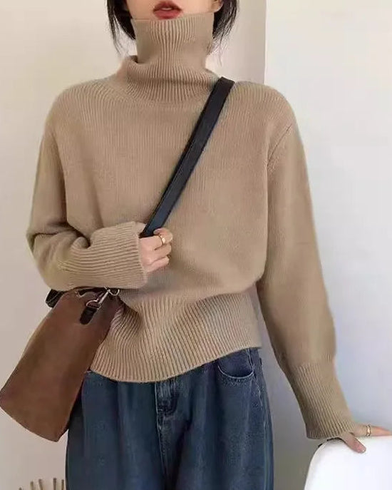 Thick Cashmere Turtleneck Sweater