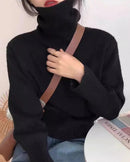 Thick Cashmere Turtleneck Sweater