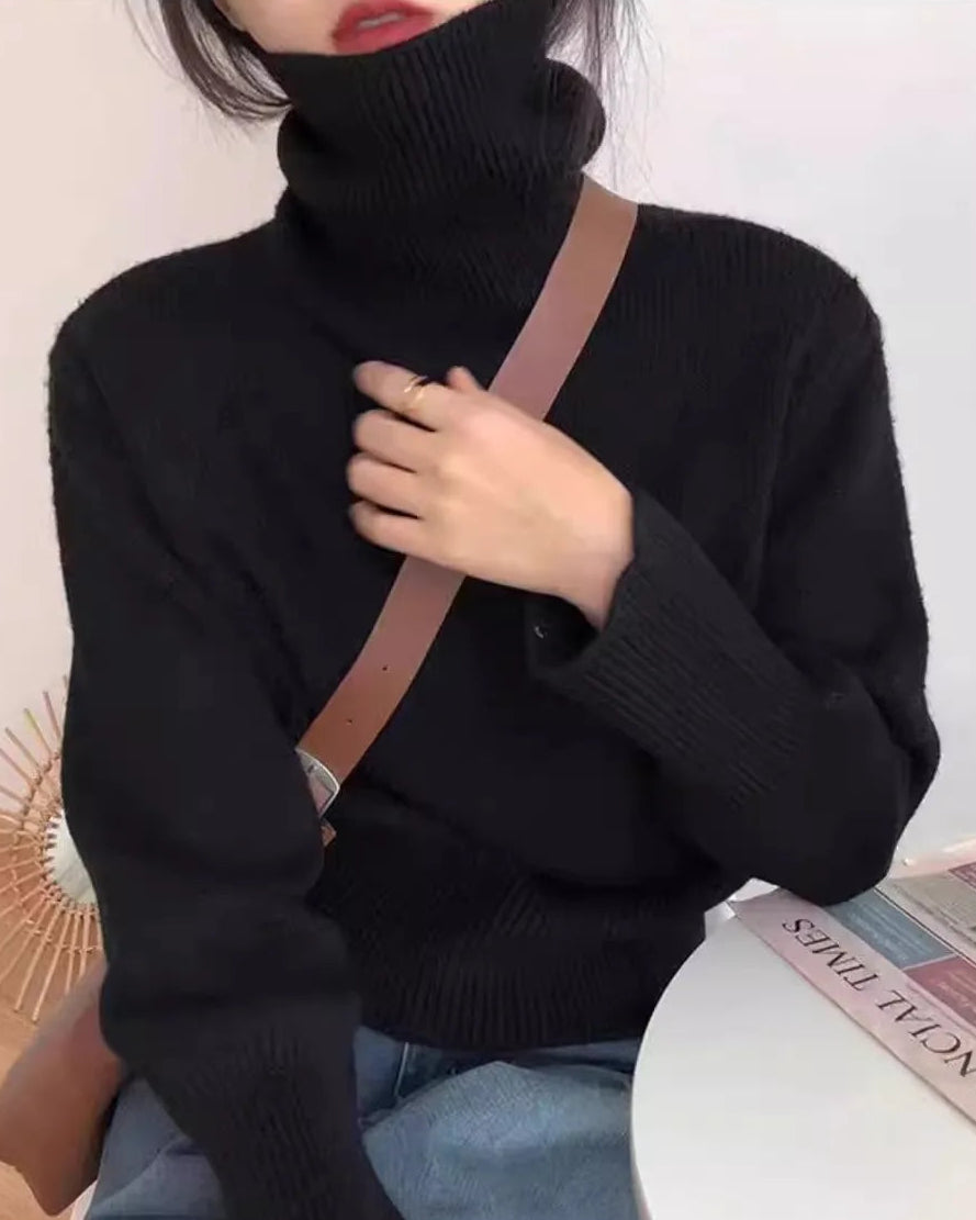 Thick Cashmere Turtleneck Sweater