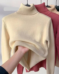 Thick Velvet-Lined Turtleneck Pullover