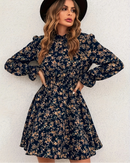Turtleneck Long Sleeve Floral Print A-Line Dress