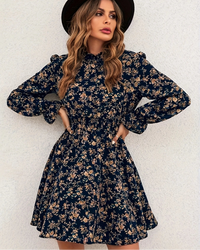 Turtleneck Long Sleeve Floral Print A-Line Dress