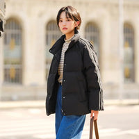 Stand-Up Collar Raglan Sleeve Windproof Down Jacket