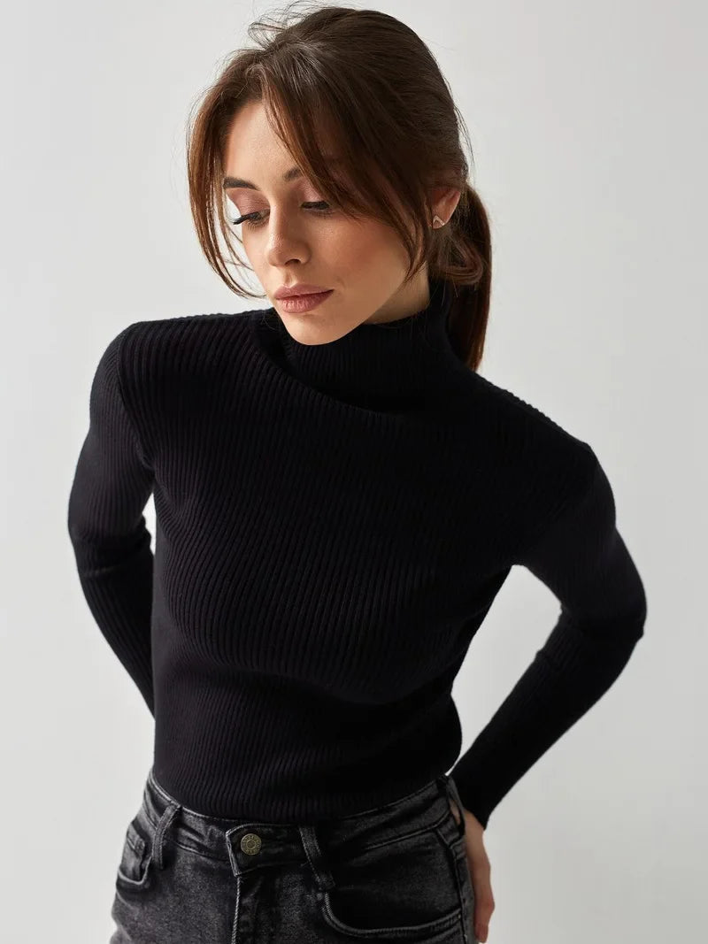 Knitted Basic Turtleneck Sweaters
