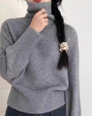 Thick Cashmere Turtleneck Sweater