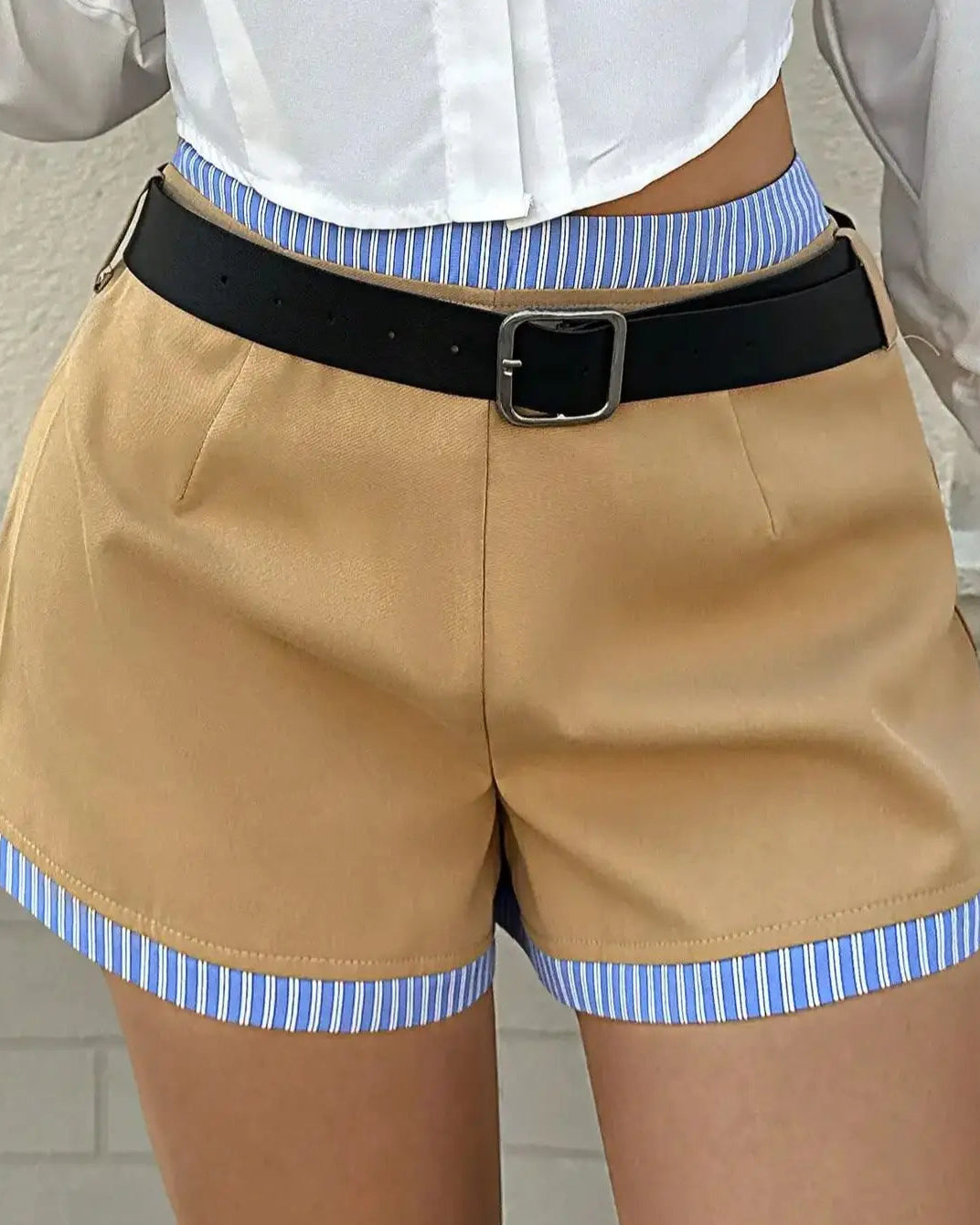 Striped Panel Low-Rise A-Line Shorts