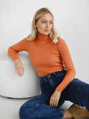 Knitted Basic Turtleneck Sweaters