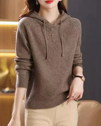 Hooded Knit Pullover Sweater