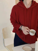 Solid Cashmere Knitted Hoodie