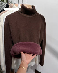 Thick Velvet-Lined Turtleneck Pullover
