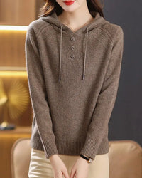 Hooded Knit Pullover Sweater