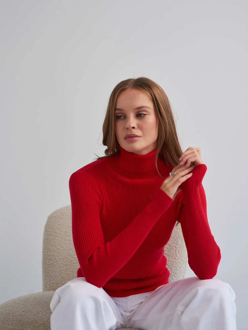 Knitted Basic Turtleneck Sweaters