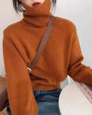 Thick Cashmere Turtleneck Sweater