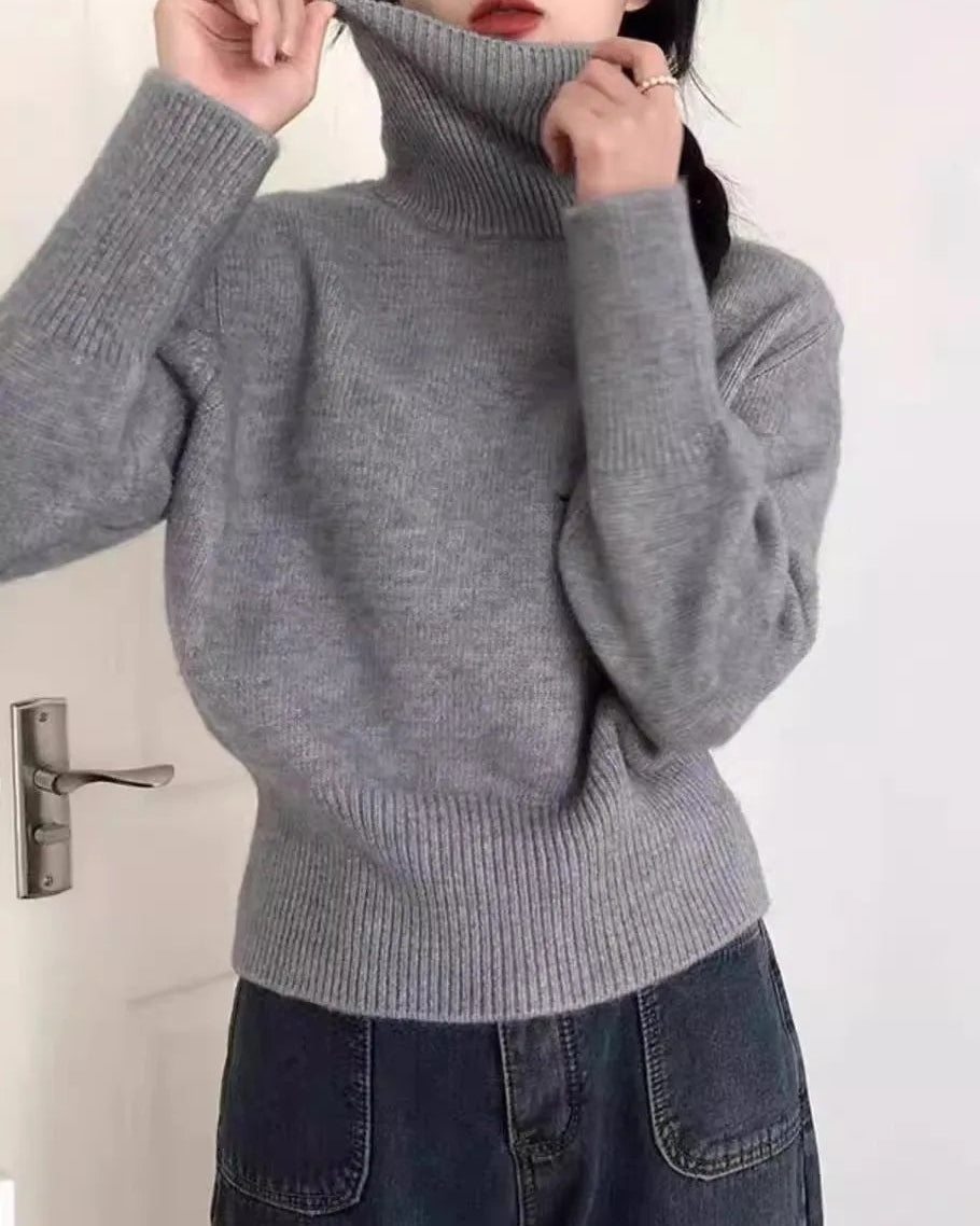 Thick Cashmere Turtleneck Sweater