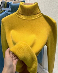 Thick Velvet-Lined Turtleneck Pullover