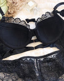 Fashionable Lace Floral Embroidered Push-Up Bra Set