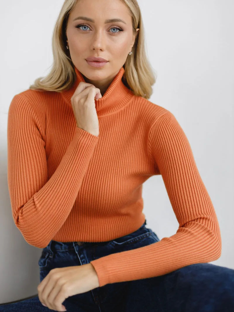Knitted Basic Turtleneck Sweaters
