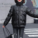 Stand Collar Quilted-Shell Parka