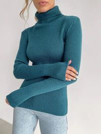 Knitted Basic Turtleneck Sweaters