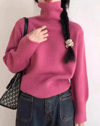 Thick Cashmere Turtleneck Sweater