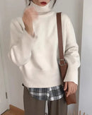 Thick Cashmere Turtleneck Sweater