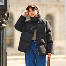 49179360231671|49179360264439|49179360297207|49179360329975|49179360362743|49179360395511