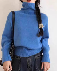 Thick Cashmere Turtleneck Sweater